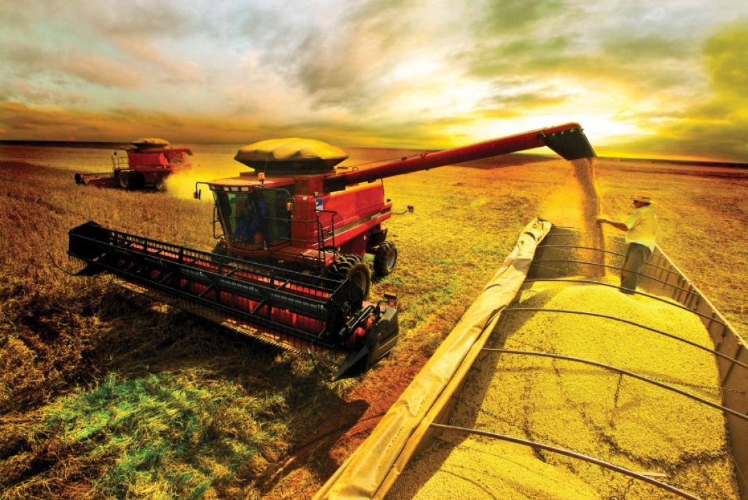 Conab estima safra recorde de 325,7 milhões de toneladas