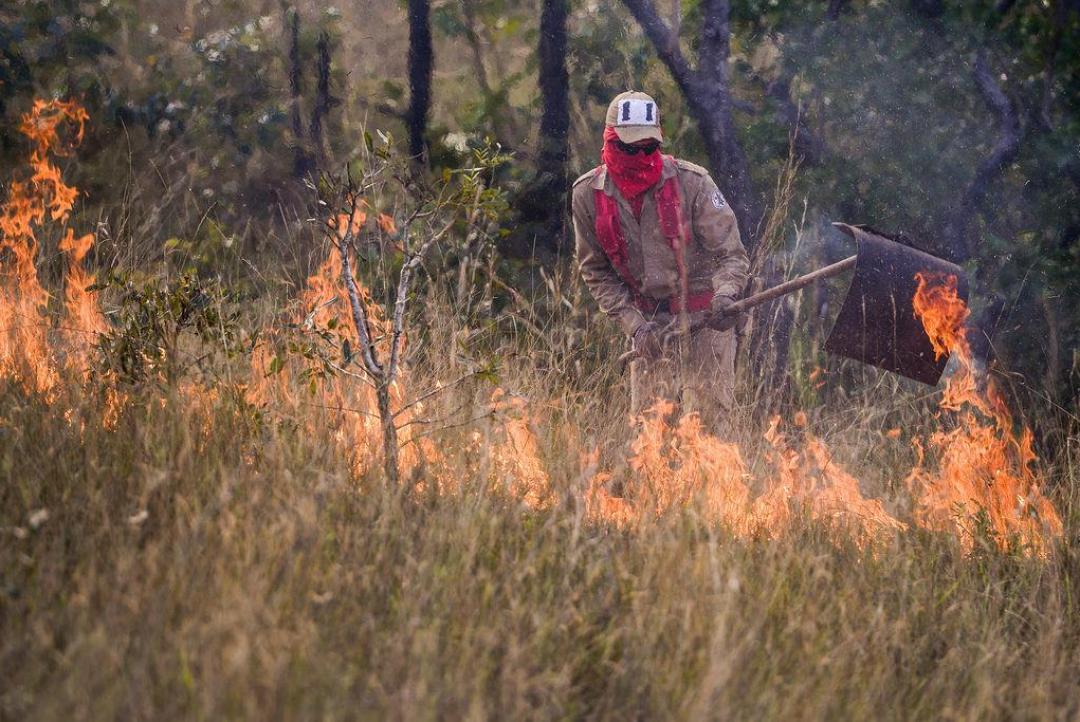 Alta Floresta :Fogo alastra e queima áreas protegidas