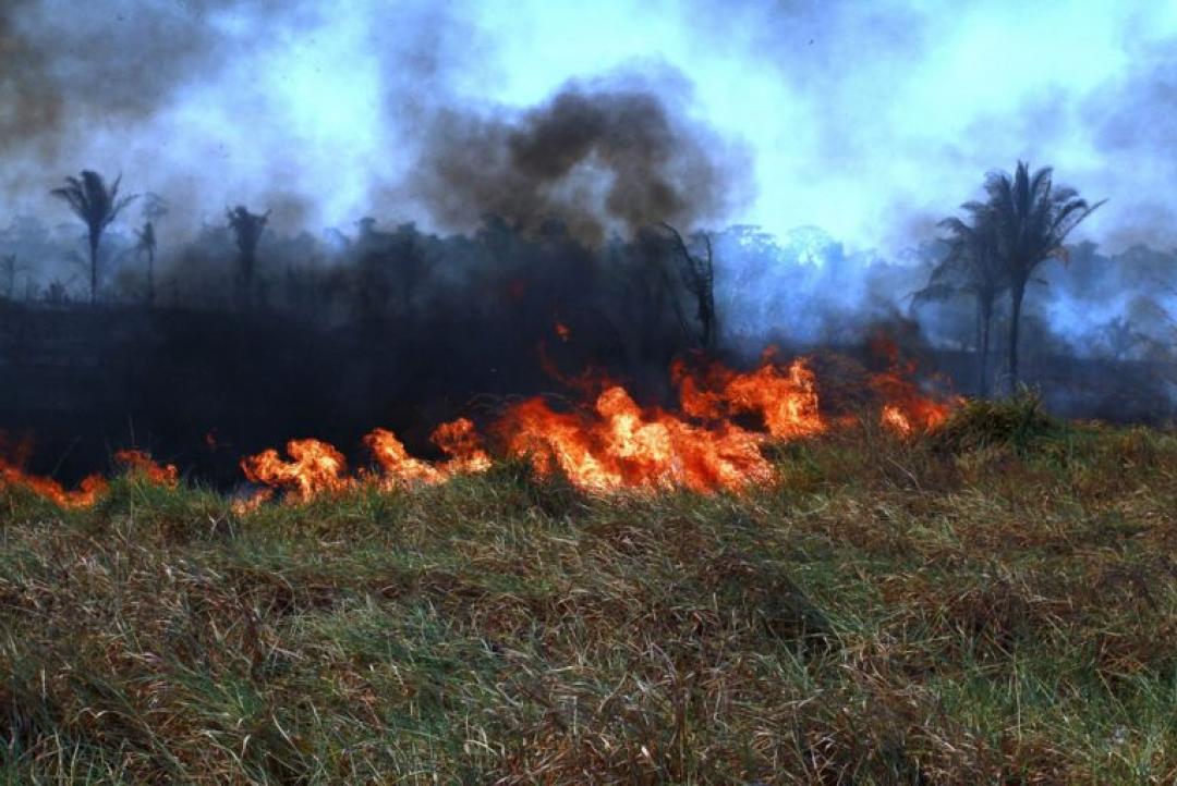 Incêndio em chácara termina com um detido em Nova Canaã do Norte