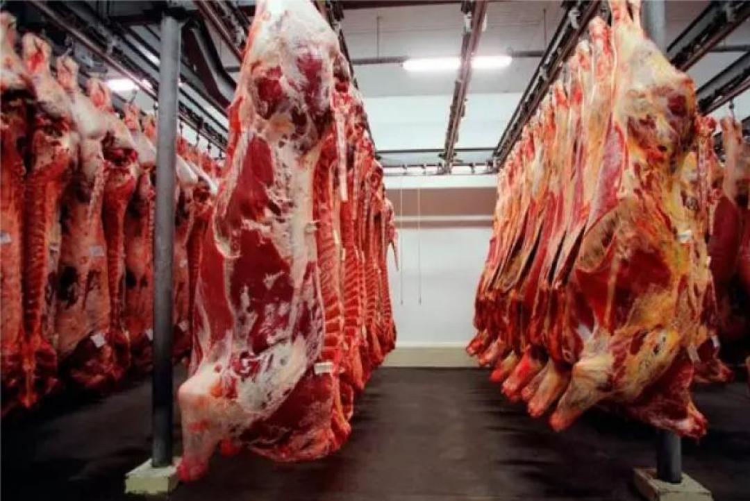 Mato Grosso vê crescimento expressivo nas exportações de carne bovina