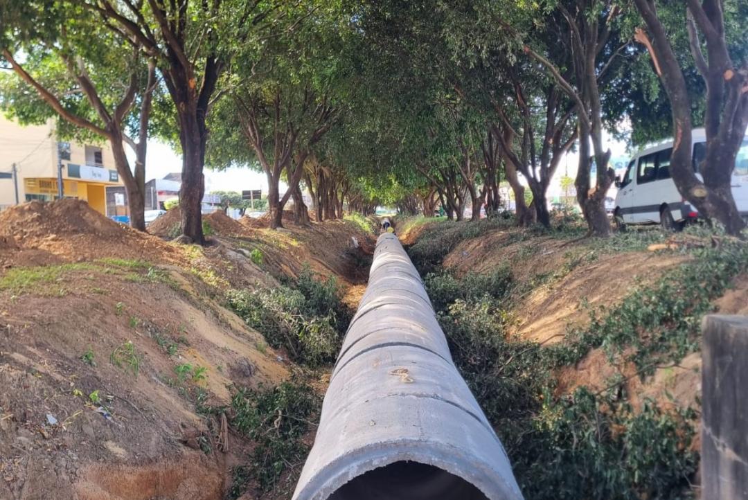 Foto flagrante - O cimento contorna o verde