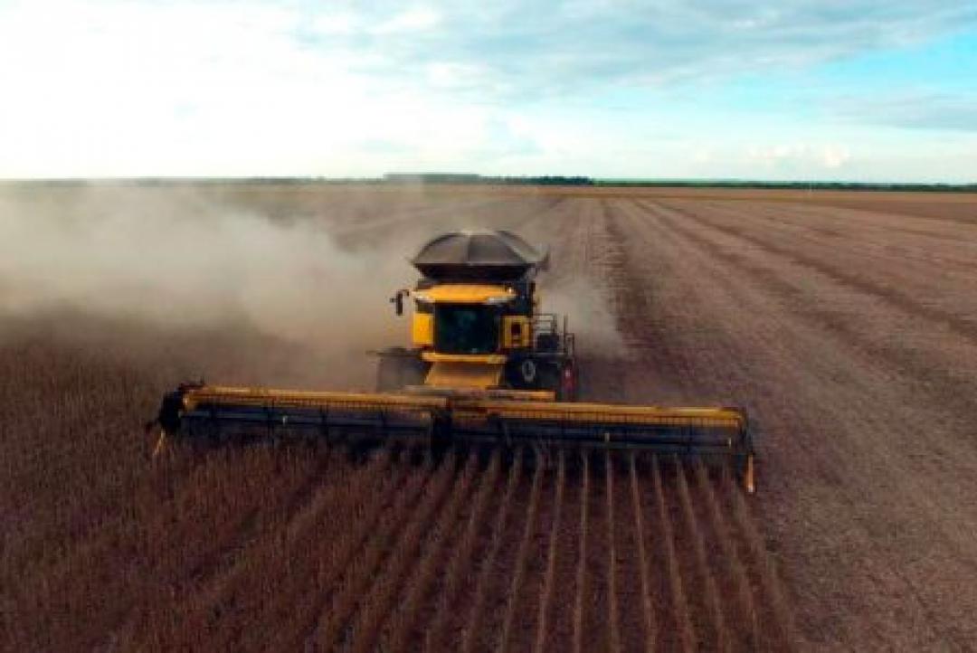 Sinop se destaca como 2ª maior exportadora de Mato Grosso em maio