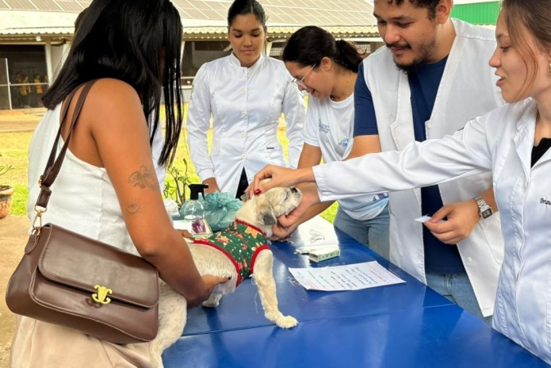 Prefeitura de Sinop já imunizou mais de 8,2 mil animais contra a raiva
