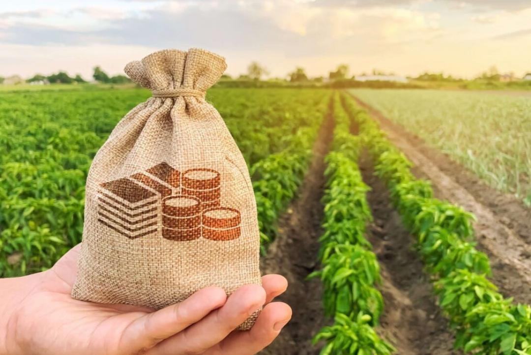 Nova Mutum é 5º maior exportador do Estado; R$ 4,7 bilhões